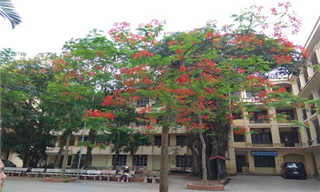 Tuyển sinh các chuyên ngành CNTT