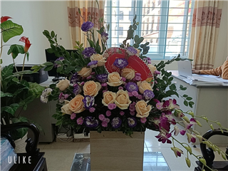 Tri ân ngày 08/3/2022  - Vì một nửa thế giới là phụ nữ !