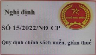 Nghị định 15/2022/NĐ-CP Quy định chính sách miễn, giảm thuế