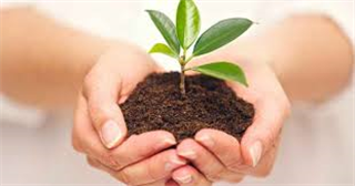 Học tập trải nghiệm hướng nghiệp lớp 10 với chủ đề  “Xây dựng quan điểm sống” 